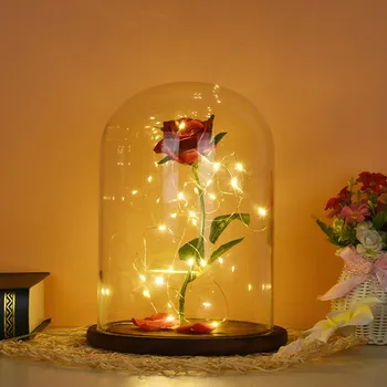 Romantic Nemuritoare Floare Micro Peisaj Crescut De Simulare Umbra De Sticlă Condus Llight