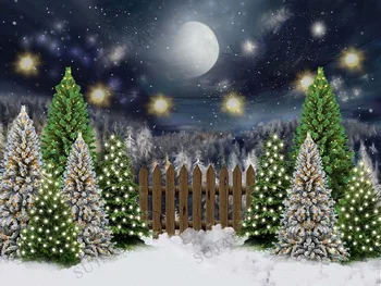 Din lemn, Casa de Crăciun Zăpadă Fundaluri pentru Fotografie de culoare Verde Închis Ușa Studio Fotografic Fundaluri Foto Pomul de Crăciun Decor